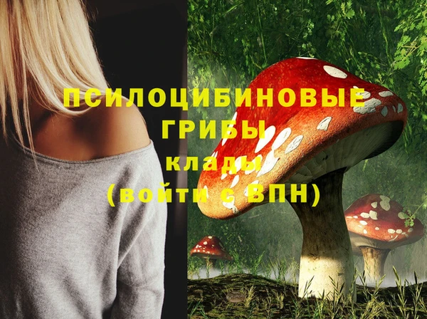 ALPHA PVP Армянск