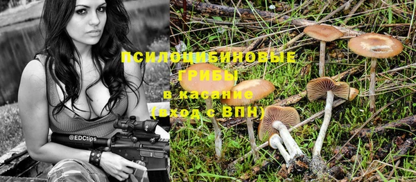 ECSTASY Аркадак