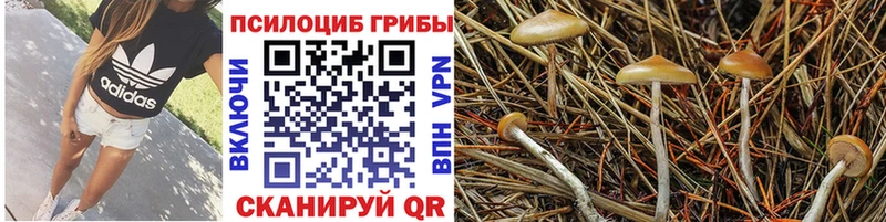 Галлюциногенные грибы ЛСД Каневская